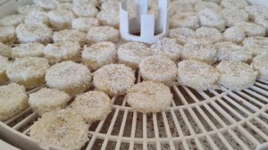 Бананы сушеные в кокосовой стружке.