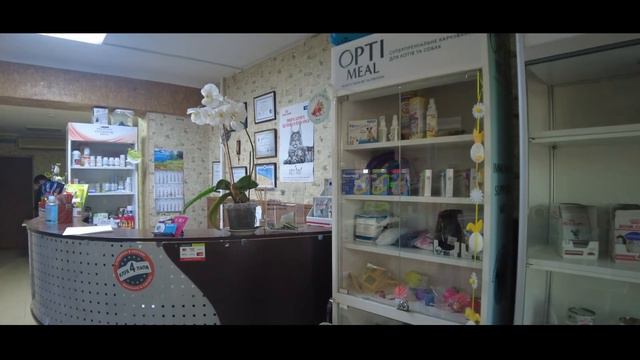 Клиника Рекс смотреть онлайн