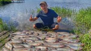 Супер рыбалка на форель! Отличный клев беглянки на бомбарду с резиной🎣💪🏻