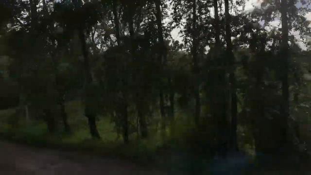 Поехала в командировку на поезде Архангельск Мурманск смотреть онлайн