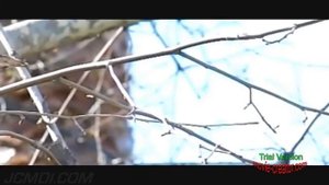 Замедленный полёт птиц. Красивые съёмки.