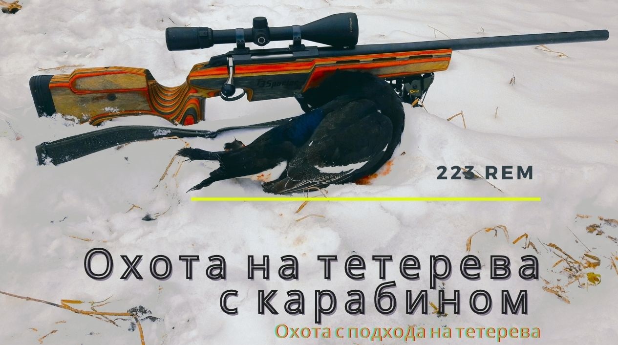 Охота на тетерева с нарезным оружием. Сезон 2020г. 223 калибр.