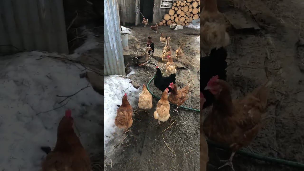 Тем временем в Деревне смотреть онлайн