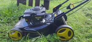 Бережное окашивание елочек.