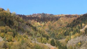 Батуми.Batumi. Дорога в Сванетию 15 октября 2021