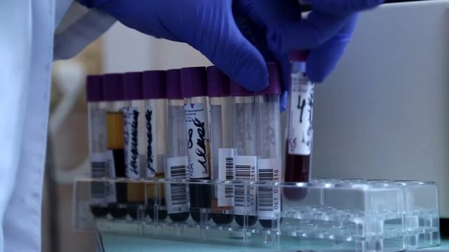 Курс клинической трансфузиологии при кафедре анестезиологии и реаниматологии МОНИКИ