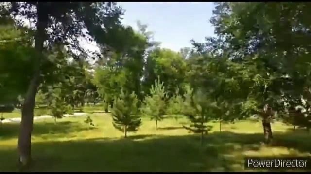 КУДА ДЕЛИСЬ НАШИ ДЕТИ ??? смотреть онлайн