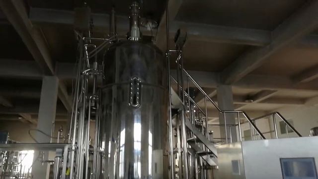 12-In-Situ Sterilizable Stainless steel bioreactors-fermentors supplier in Turkey смотреть онлайн