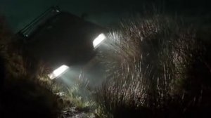 Из тьмы / Первобытный страх / The Woods 2015