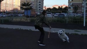 Тренировка (8 месяцев)