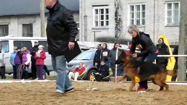 №100. X-BOX VON ARLETT +++ смотреть онлайн