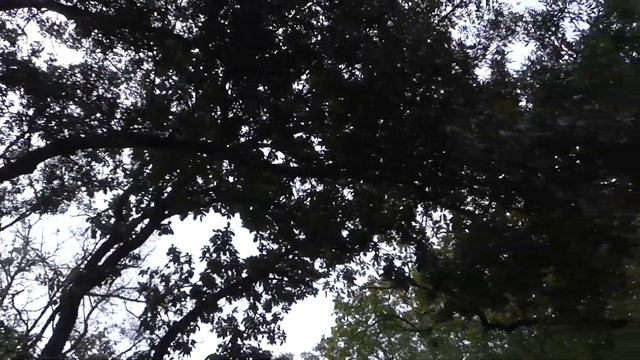 Кипарисовое озеро. Сукко, Анапа. Краснодарский край. Сентябрь 2020. смотреть онлайн