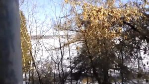 Усадьба Севрюгова Кинешма 2016 год