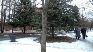 Тамбовская область Первомайский Ленина 8 обзор 1