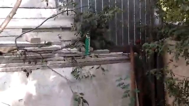 баллон монтажной пены vs пневматика смотреть онлайн