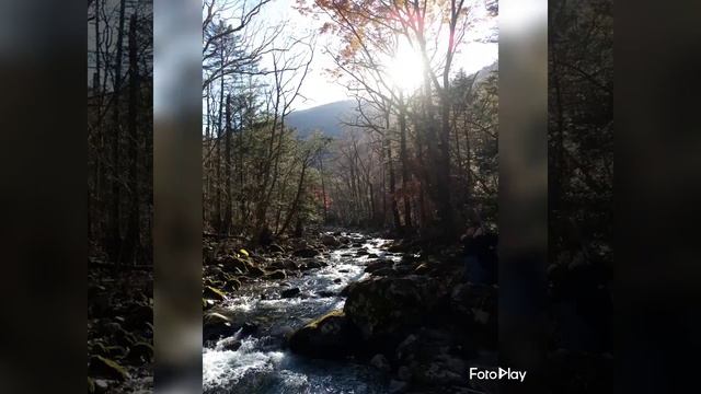 Смольные водопады