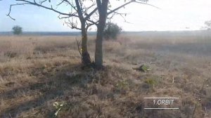 Пробую выполнять FPV трюки для начинающих. FPV ORBIT