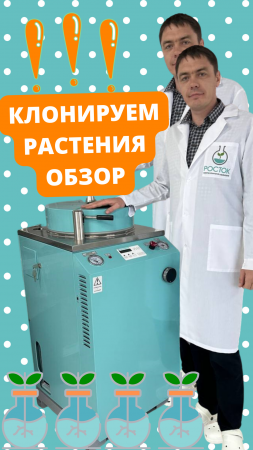 Клонируем растения ?Обзор #питомникрастений #питомникросток #клонируемрастения