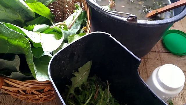 ОРГАНИЧЕСКОЕ УДОБРЕНИЕ для растений.Как сделать ЗЕЛЕНУЮ БОЛТУШКУ.