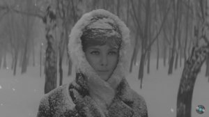 "ЗАМЕЛО" Шувалова Светлана