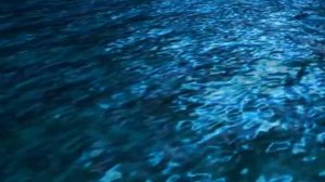 Svyatoslav Levin plays Chopin - Etude in E-flat Major, Op. 10, No. 11