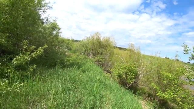 Забираем фотоловушку. смотреть онлайн