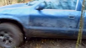 Kia Sportage 1