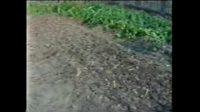 Плоскорез Фокина. Часть 1. Видео из архива Клуба ОЗ смотреть онлайн