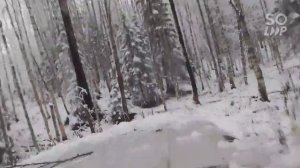 Оффроуд по лесу. УАЗ на ободрышах от ГАЗ-66