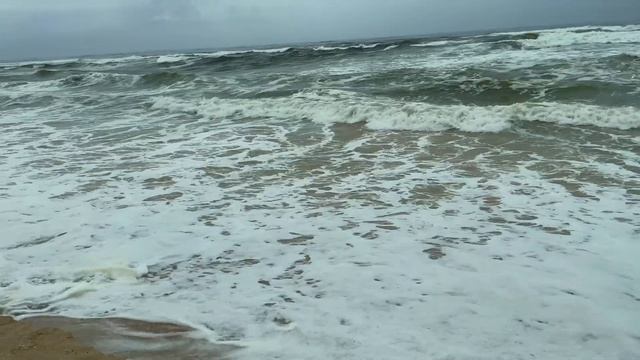 [4K] Salalah Oman Tour | 3 Days Trip | Full Tour | Travel Tips | Must Visit Places Salalah | Vlog # смотреть онлайн