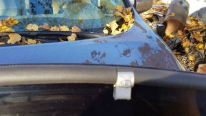 Устраняем шум от дефлектора капота