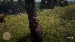 Разгадка Сокровища ядовитой тропы #1. Red Dead Redemption 2.