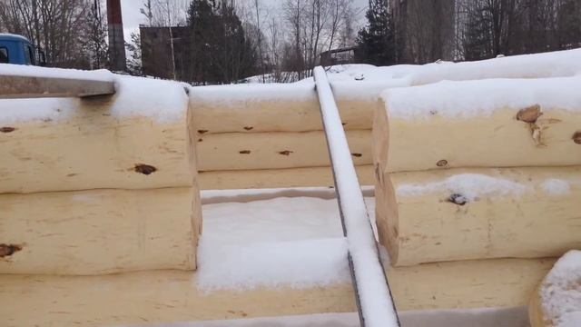 Беседка из карельской сосны смотреть онлайн