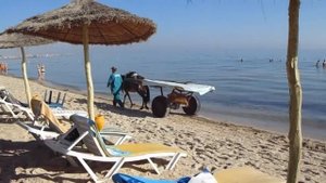 Обзор отеля Houda Golf & Beach Club 3* (Тунис/Монастир), 2018