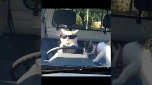 куда уходит детство sped up