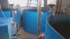 УЗВ для выращивания 1 тонны осетра в год