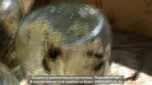 Сотовый мёд в баночках.avi
