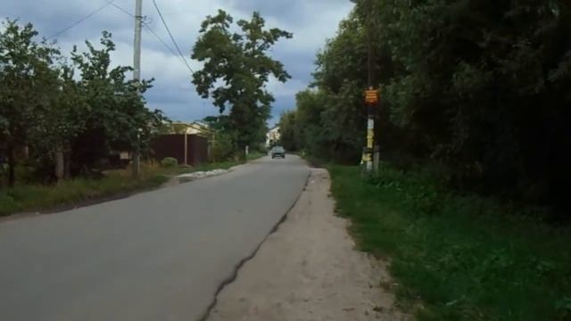 Как защитить птицу от лесных зверьков Осень 2019 смотреть онлайн