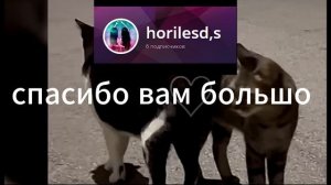 спасибо вам большое за 6 подписчиков