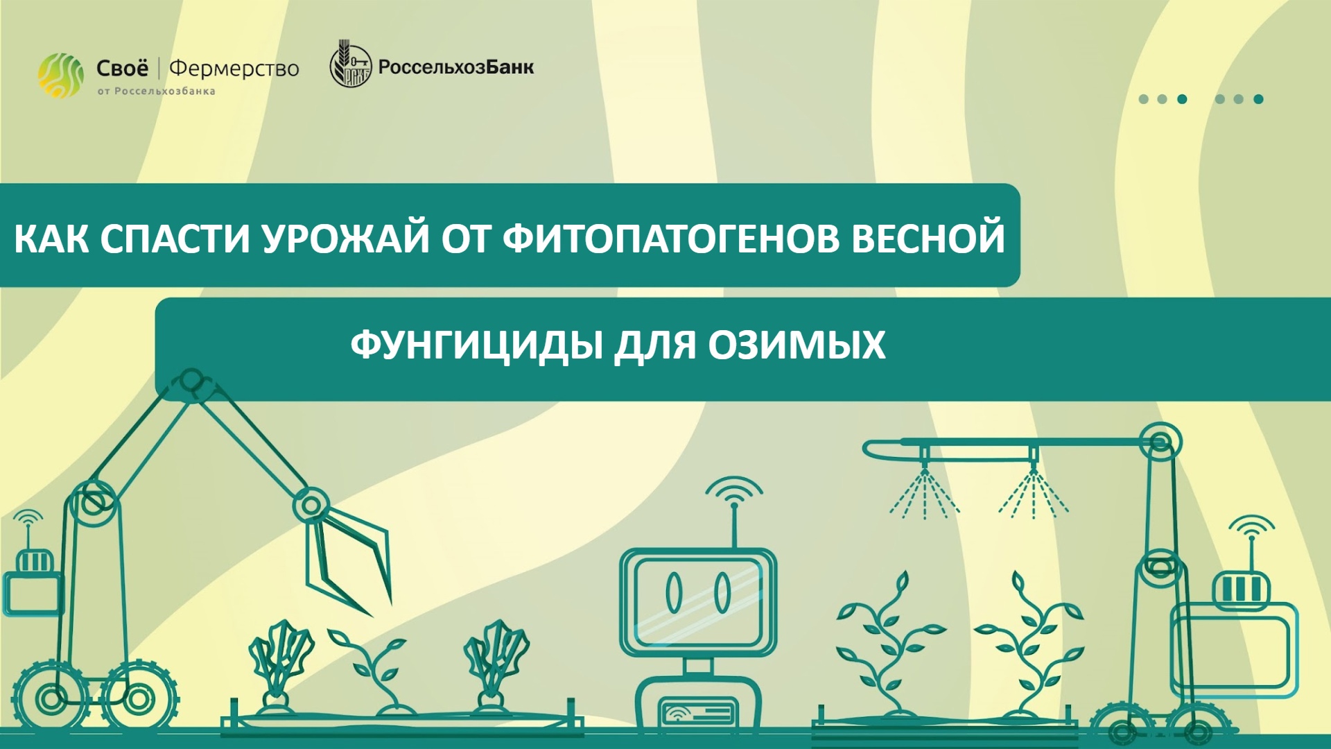 Как спасти урожай от фитопатогенов весной: фунгициды для озимыx