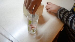 #Опыты#№1 Растворение сахара в горячей и холодной воде