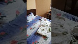 Гагра 2019 гостевой дом мандарин спортивная 12