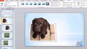 Как сделать 3D картинки в PowerPoint - пошаговый урок.