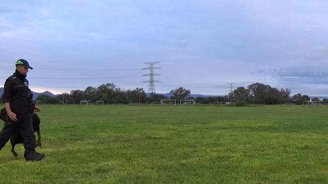 Vladimir Von Garval смотреть онлайн