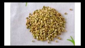 ▶ ▶Зеленая гречка Польза зеленой гречки
