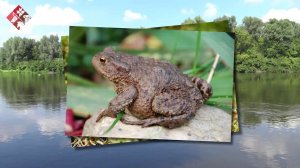 Музей на природе. Инерка.