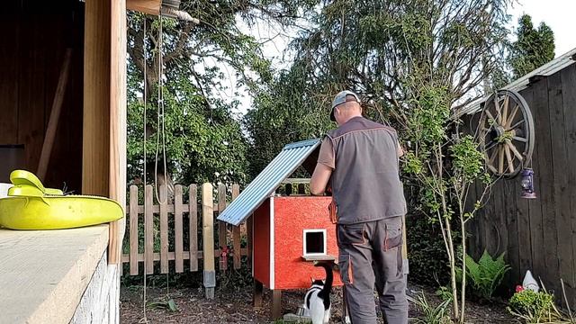 АКО ПЧЕЛА НА ДАЧЕ, ШЛИФУЮ ДОСКИ НА ТЕРРАСУ... смотреть онлайн