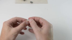 Как слепить акулу из пластилина. Лепим акулу Мегалодон