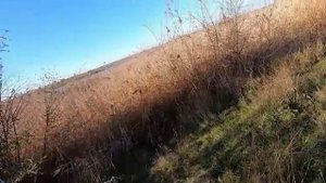 Охота в Ростовской области 2022