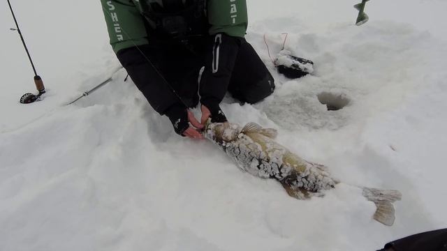 ПОБЕЖАЛ ЗА БАГРОМ, ЛОВЛЯ СУДАКА НА БАЛАНСИРЫ RAPALA | ЗИМНЯЯ РЫБАЛКА 2021-22 fishing